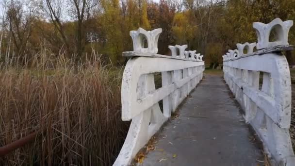 Camera Passes Stone Bridge Autumn Park — Stock Video