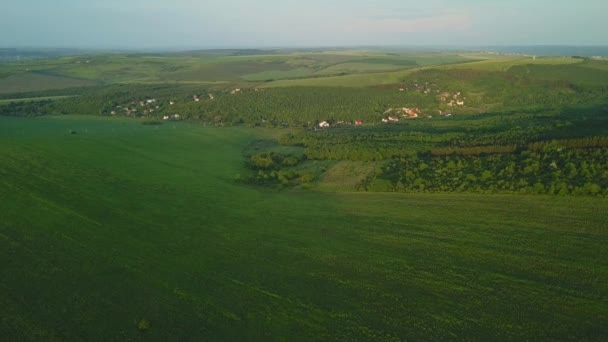 Voando Sobre Colinas Verdes Campo Casas Aldeia Terras Agrícolas Primavera — Vídeo de Stock