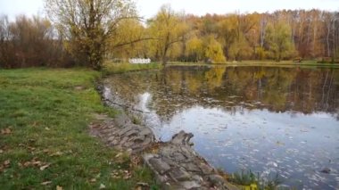 Sonbahar parkında sarı yapraklarla kaplı küçük bir göl. gimbal atış.