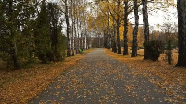 ダイナミック撮影。秋の公園の舗装された歩道に沿って飛ぶカメラ. — ストック動画