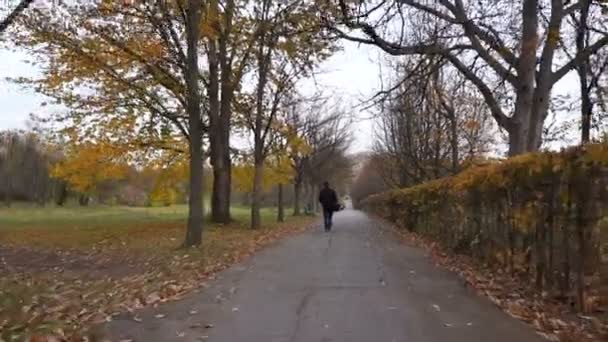 A man in jeans and sneakers walking along the sidewalk. On the street the autumn park. HD — Stock Video