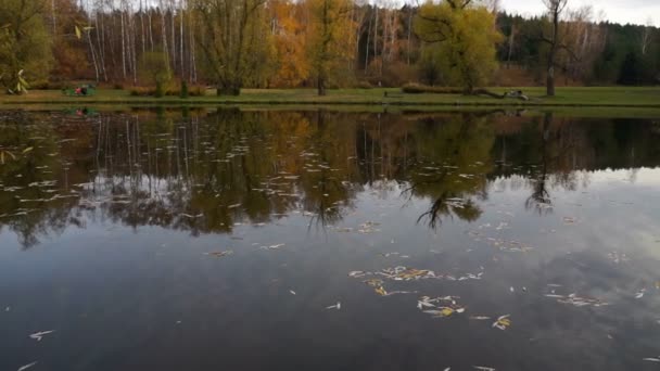 秋の公園で黄色い葉に覆われた小さな湖。ジンバルショット. — ストック動画