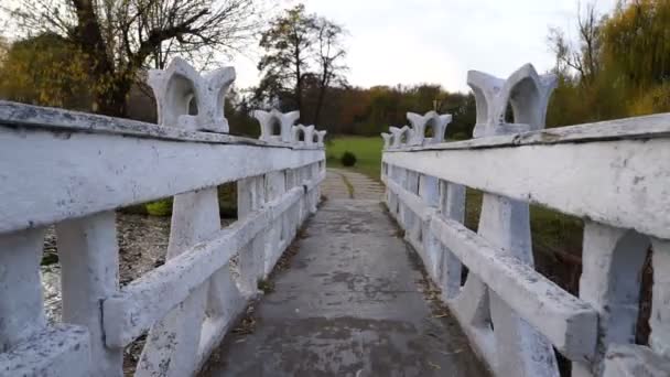 Camera passes along the stone bridge in autumn park — Stock Video