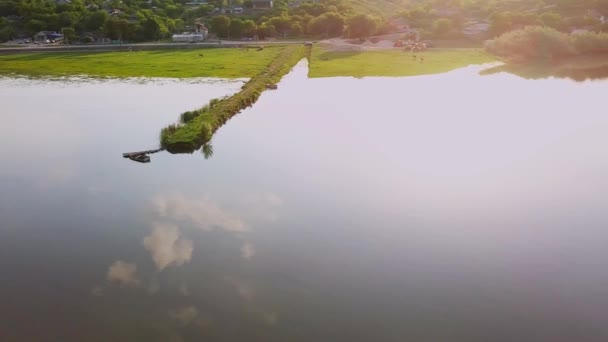 Flyger över älven en solig sommardag. Floden Dniester i Republiken Moldavien. — Stockvideo