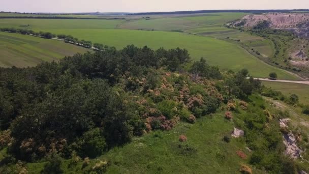 Політ над дивовижним ландшафтним над Високогір'ям Республіки Молдова. — стокове відео