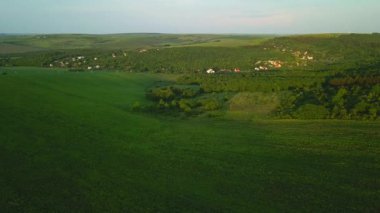 Yeşil kırsal tepelerin, köy evlerinin, baharda tarım arazilerinin üzerinde uçuyorlar. Hava 4k dron görüntüsü