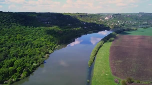 Przelot Nad Rzeką Lasem Czasie Wiosny Dniestru Republika Mołdawii — Wideo stockowe