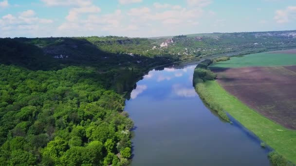 Przelot Nad Rzeką Lasem Czasie Wiosny Dniestru Republika Mołdawii — Wideo stockowe