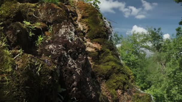 Небольшой Ручей Стекающий Склону Горы Лесу Окруженный Зеленым Мхом — стоковое видео