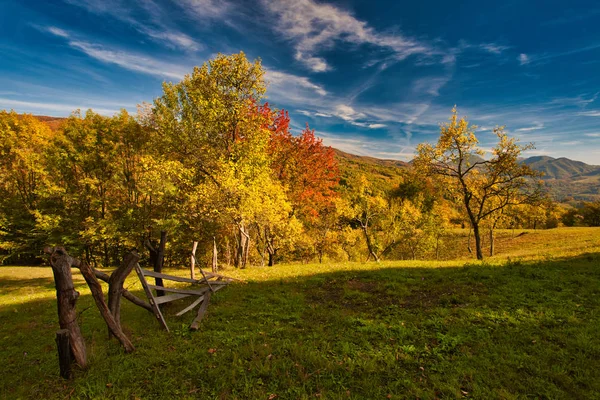 형형색색의 숲이 있는 산가을 풍경. 카르파티아 산맥, 트란실바니아. — 스톡 사진