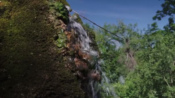 一条小溪沿着森林中的山坡流下 被绿苔包围 — 图库视频影像