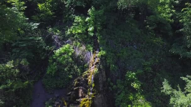 飞过森林和一个小瀑布 — 图库视频影像