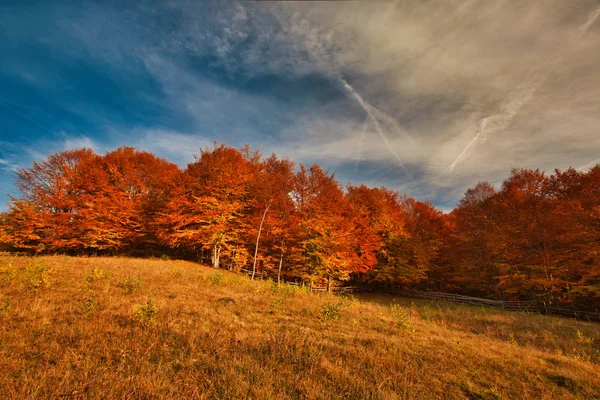 El paisaje de otoño de montaña con bosque colorido. Montañas de Carpatian, Transilvania . —  Fotos de Stock