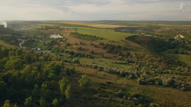 Drohnenflug Von Oben Über Grüne Felder Und Vororte Bei Sonnenuntergang — Stockvideo
