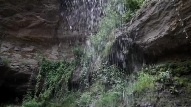 derin bir ormanda küçük bir şelale yakın (ses ile)