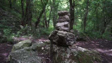 Yeşil ormana taş yığını. Ormanın atmosferi, yeşil çimenler, iğne yapraklı ağaçlar, çiçekler, taşlar.