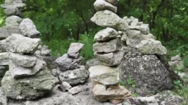 Yeşil ormana taş yığını. Ormanın atmosferi, yeşil çimenler, iğne yapraklı ağaçlar, çiçekler, taşlar.