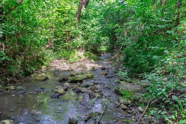 Las rzeka strumień wody powoli przepływu. Mossy skały strumień rzeki. Mossy Las rzeki widok strumienia. Przepływ strumienia rzeki Forrest — Zdjęcie stockowe