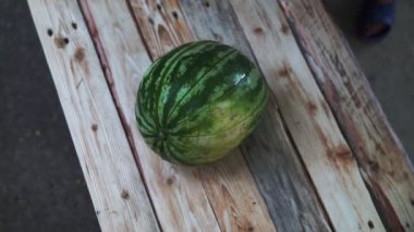 Yaz için ahşap rustik tahta taze meyve olgun karpuz kesmek için mutfak bıçağı kullanarak kadının çekim elleri kadar yakın