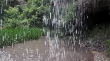 derin bir ormanda küçük bir şelale yakın, yavaş hareket