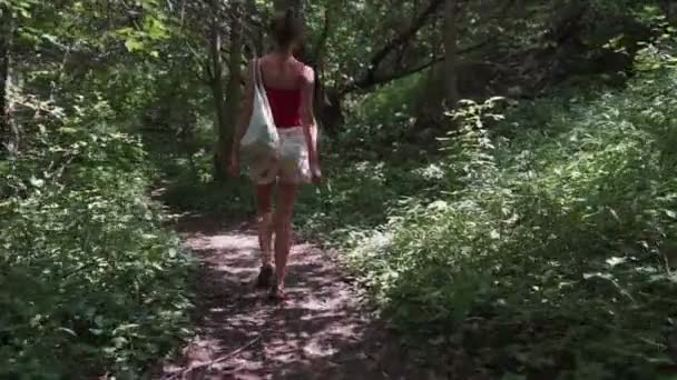 Vista Posteriore Ragazza Camicetta Pantaloncini Jeans Passeggiate Lungo Percorso Attraverso — Video Stock