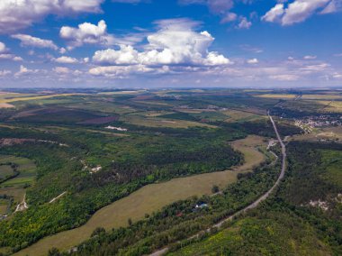 Bir orman ve yeşil topraklardan geçen bir il yolunun havadan görünümü