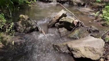 Yosunlu kayaların üzerinden akan orman deresi. Yazın yeşil ormanlık alanda küçük bir şelale.