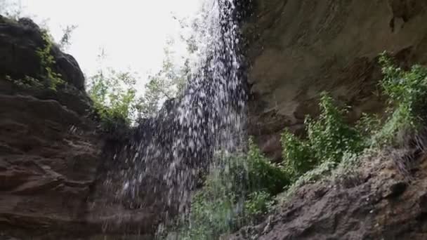 Bliska Małego Wodospadu Głębokim Lesie Slowmotion — Wideo stockowe