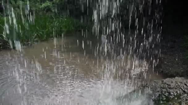 深い森の中の小さな滝のクローズアップ スローモーション — ストック動画