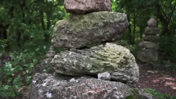 Hromada Kamenů Zeleném Lese Atmosféra Lesa Zelená Tráva Jehličnaté Stromy — Stock video