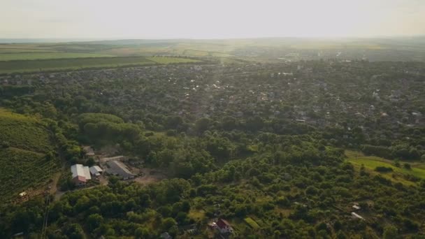 Vôo Drone Vista Superior Sobre Campos Subúrbios Verdes Por Sol — Vídeo de Stock