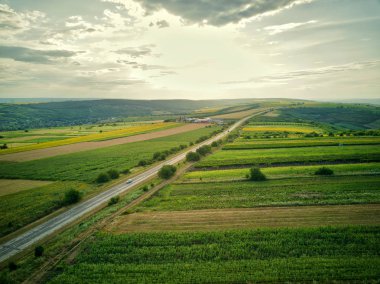 Yeşil ve sarı pirinç tarlasının havadan görünümü, gün batımında farklı desen büyüdü.