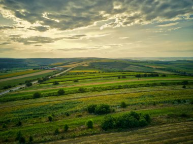 Yeşil ve sarı pirinç tarlasının havadan görünümü, gün batımında farklı desen büyüdü.