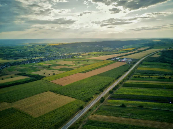 Vista aérea del campo de arroz verde y amarillo, creció en un patrón diferente al atardecer . — Foto de Stock