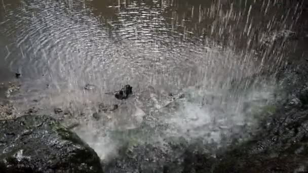 Nahaufnahme Eines Kleinen Wasserfalls Einem Tiefen Wald — Stockvideo