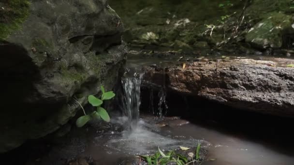 Bosstroom Die Mossige Rotsen Stroomt Kleine Waterval Zomer Groen Bos — Stockvideo