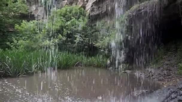 Close Small Waterfall Deep Forest — Stock Video