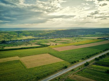Yeşil ve sarı pirinç tarlasının havadan görünümü, gün batımında farklı desen büyüdü.