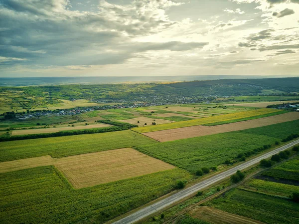 Yeşil ve sarı pirinç tarlasının havadan görünümü, gün batımında farklı desen büyüdü.