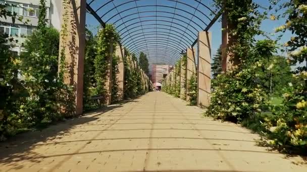 Pedestrian Sidewalk Near the Park in Slatina, Romania Dolly Shot — Stock Video