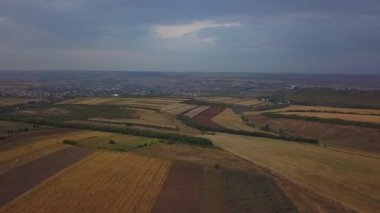 Havadan görünüm. Yaz güneşli akşam sonsuz sarı manzara ile kırsal yaz alanı üzerinde Uçuş. Ufukta güneş ışınları. Sonbaharda tarım arazisi.
