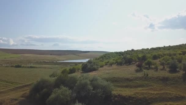Drohnenschuss flog über Felder mit hohem Gras und See — Stockvideo