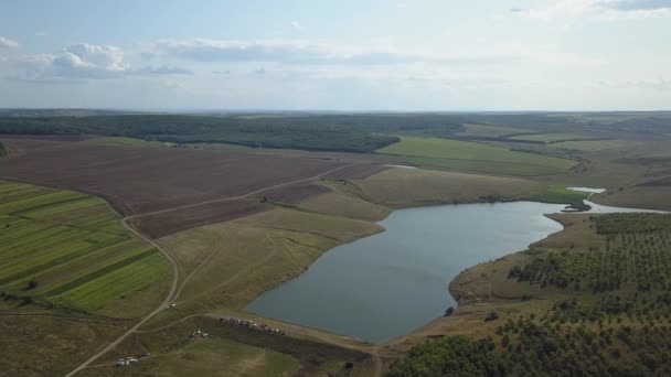Aerial Drone Shot Volando sobre campos de hierba alta y lago — Vídeos de Stock