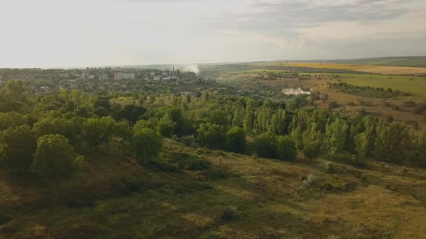 Top View drone vlucht over groene velden en voorsteden bij zonsondergang. Zomer landschap — Stockvideo