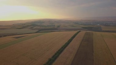 Havadan görünüm. Yaz güneşli akşam sonsuz sarı manzara ile kırsal yaz alanı üzerinde Uçuş. Ufukta güneş ışınları. Sonbaharda tarım arazisi.