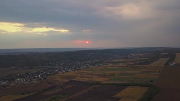 Flygvy Flygning Över Landsbygdens Sommar Fält Med Oändliga Gula Landskapet — Stockvideo