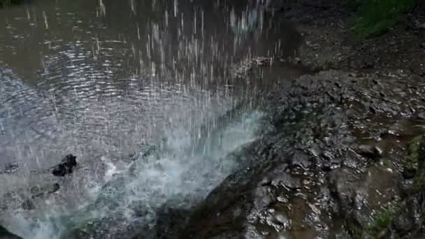 Gros Plan Une Petite Cascade Dans Une Forêt Profonde — Video