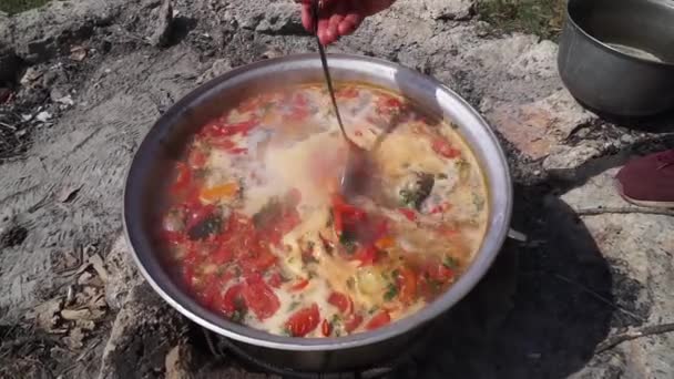 Ręka Kadzi Miesza Składniki Wrzącej Zupie Zbliżenie Gotowanie Dużym Garnku — Wideo stockowe