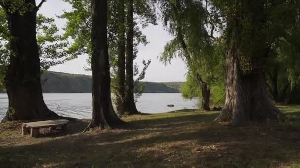 Grandi Pioppi Sulla Riva Del Fiume — Video Stock