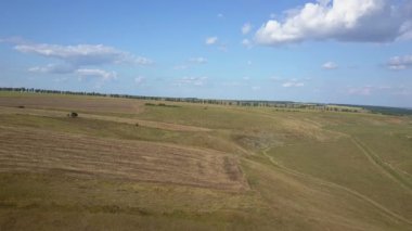 Hava Drone Shot Tall Grass Alanları Üzerinde Uçan